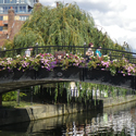 Bridge over the river